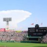 高校野球春夏好きやねん profil fotoğrafı
