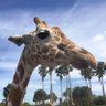 Colleen's profile picture