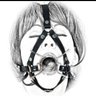 大黒屋's profile picture