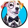 Wooz News's profile picture