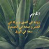 Profilbild von الوليد العواد