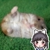 まつもとP's profile picture