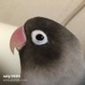 Фото профиля salypippi