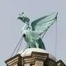 Profilbild von Liverbird