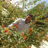 ابو امجد's profile picture
