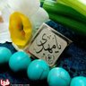 R.jalili🇮🇷 profil fotoğrafı