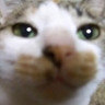 m. sgm.'s profile picture