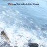✨C円七o0Sh profil fotoğrafı