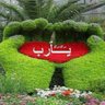 Фото профиля ابو عيسى
