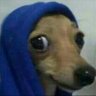 Desrraigado's profile picture