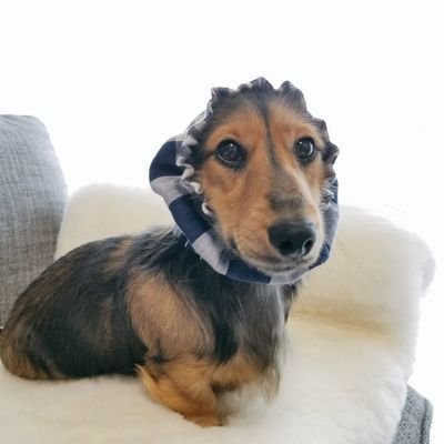 るのん's profile picture