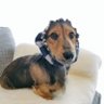 るのん profil fotoğrafı