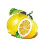 ちぇり🍒's profile picture
