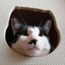 とらきち profil fotoğrafı