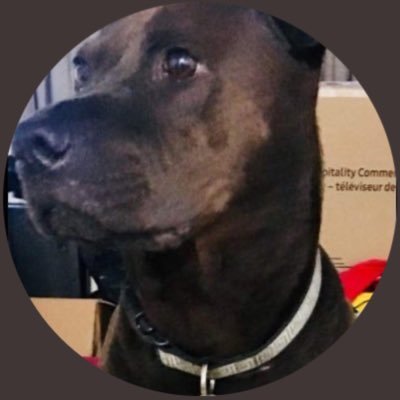 Manoloh102's profile picture
