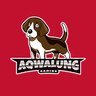 Фото профиля Aqwalung Gaming