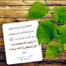 ملاذ الروح 🌹's profile picture