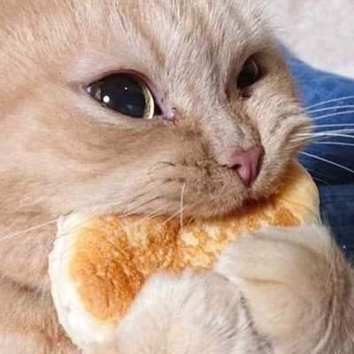 TanJrS's profile picture