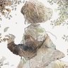 しおん's profile picture