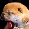 Profilbild von BC2020