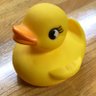 ふたござうるす 的头像