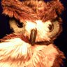 Profilbild von bernardtheplantbasedowl