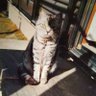 kazue's profile picture