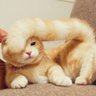 Alex Liu profil fotoğrafı