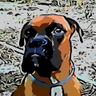 Profilbild von UnoDos