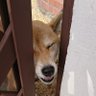Profilbild von なまえとるつめ