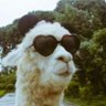 Sr Lhama's profile picture