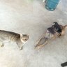 rinon profil fotoğrafı