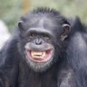 MMadiu profil fotoğrafı