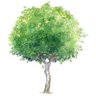 轮到你了's profile picture