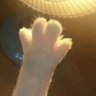 isimsizler's profile picture