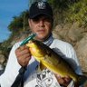 Marcio Farias's profile picture