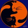 Andrey Izmylove's profile picture