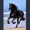 abo hamad's profile picture
