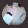 سايلنت 💕's profile picture