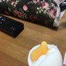 onaca profil fotoğrafı
