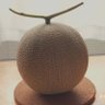 murakami 的头像