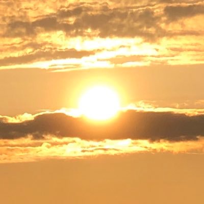 kasashimamozoku's profile picture