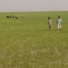 حمد بن خليفه الحكماني profil fotoğrafı