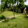 Peaceby profil fotoğrafı