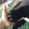 el mio profil fotoğrafı