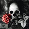 Jean Peuplux's profile picture
