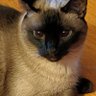 MD _ SeniorCitizen's profile picture