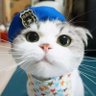 Profilbild von Yooldo