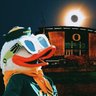 🏄🏿‍♂️🌲🟡DieHardDuckFan🟢🌲🏄🏿‍♂️ 的头像