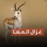 Фото профиля أبوعبدالله